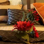 Ypc Fitness & Accomodations