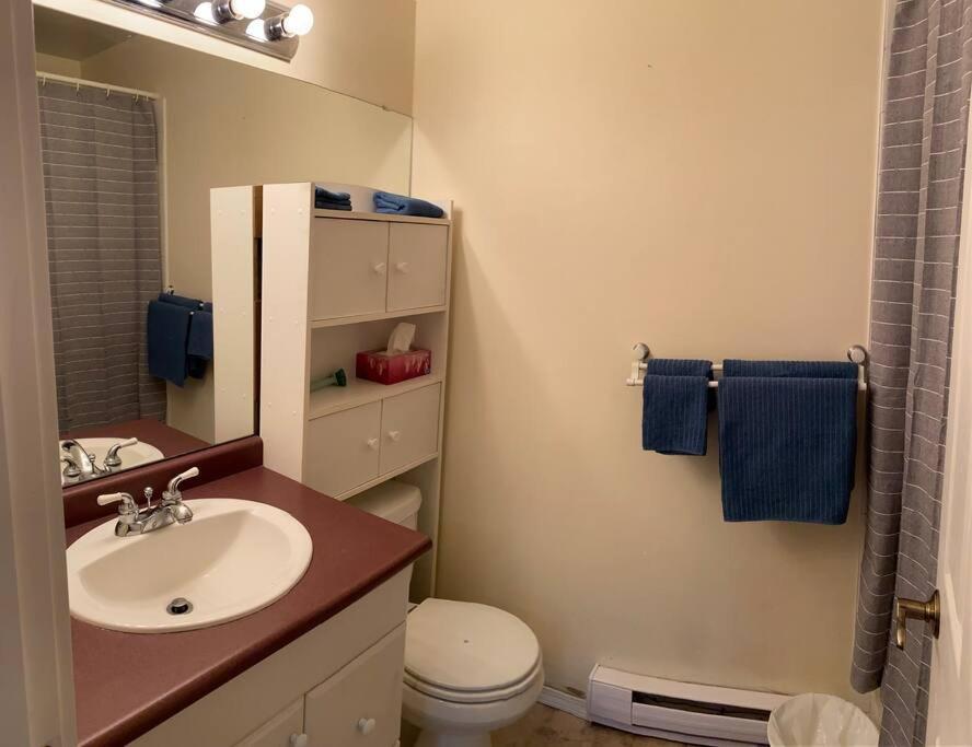Lovely 2 Bedroom Condo, 2 Minute Walk Fr Downtown * Invermere