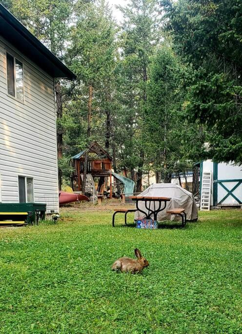 Evcharger, Free Parking, Ski, Golf, Bbq, Awesomeness Apartment