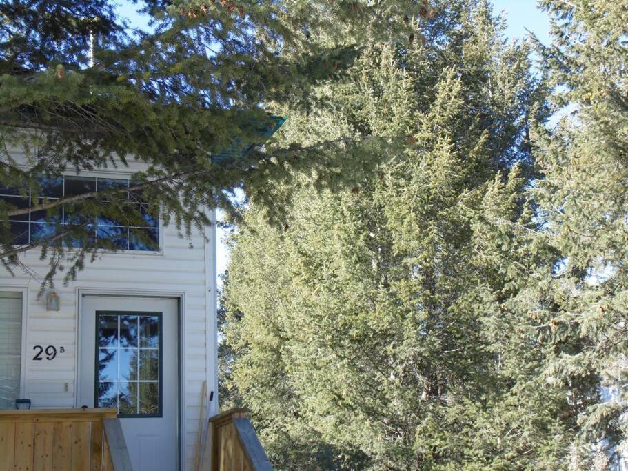 Evcharger, Free Parking, Ski, Golf, Bbq, Awesomeness Apartment Invermere