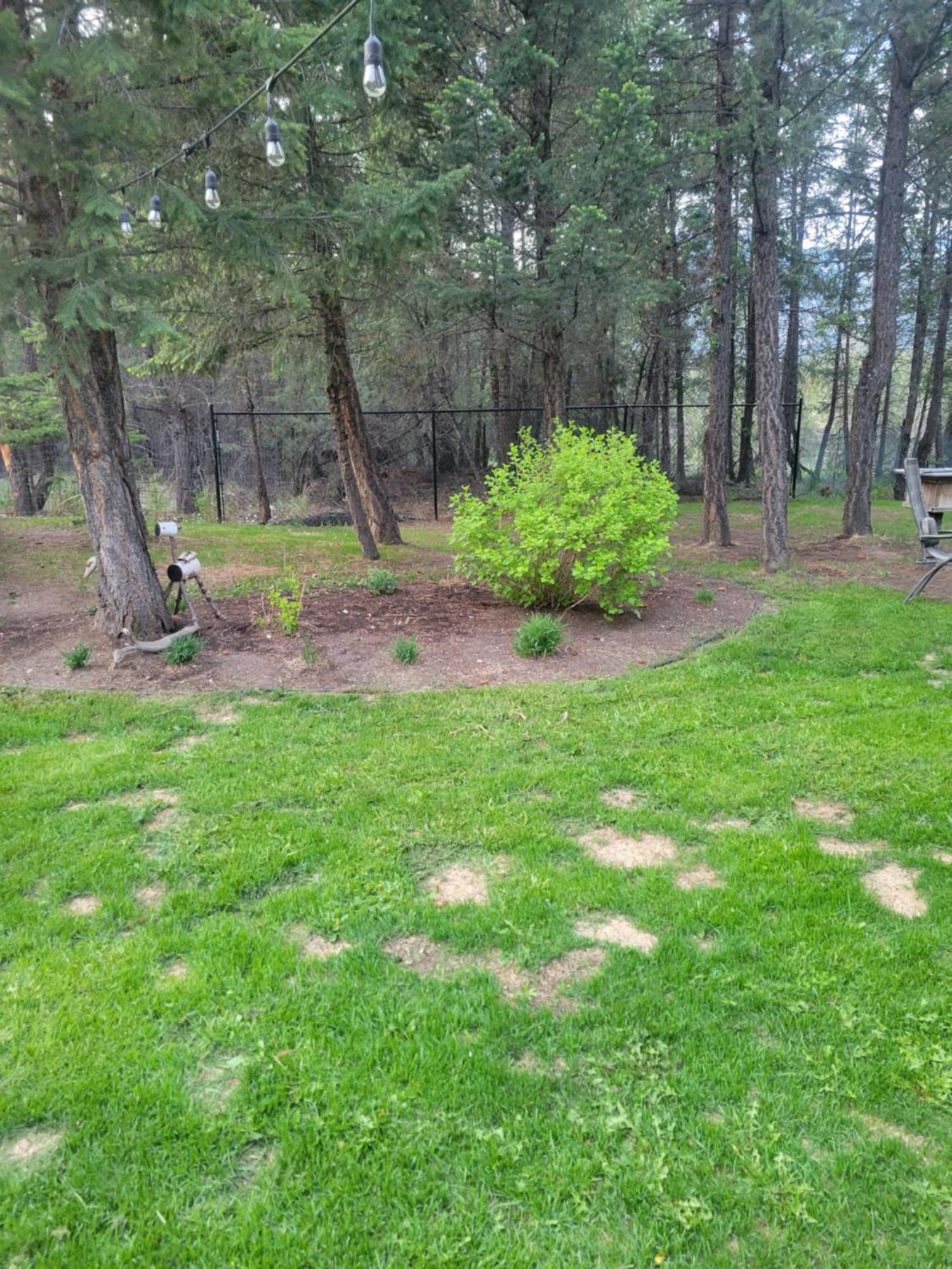 Homestay Relaxing Timbermont