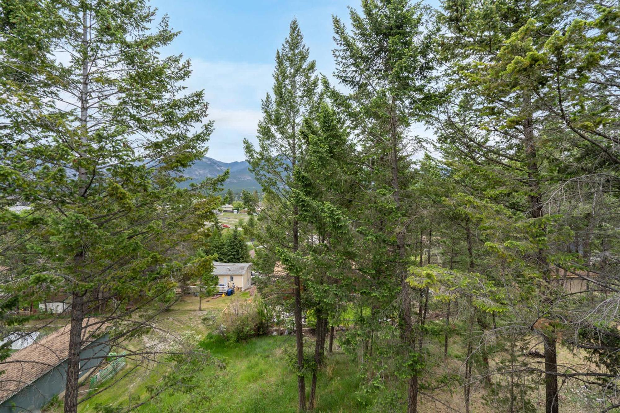 Merlot Mountain I Ping Pong I Sleep 7 I 55 Rokutv Invermere