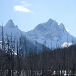 Deere Ridge Cabins
