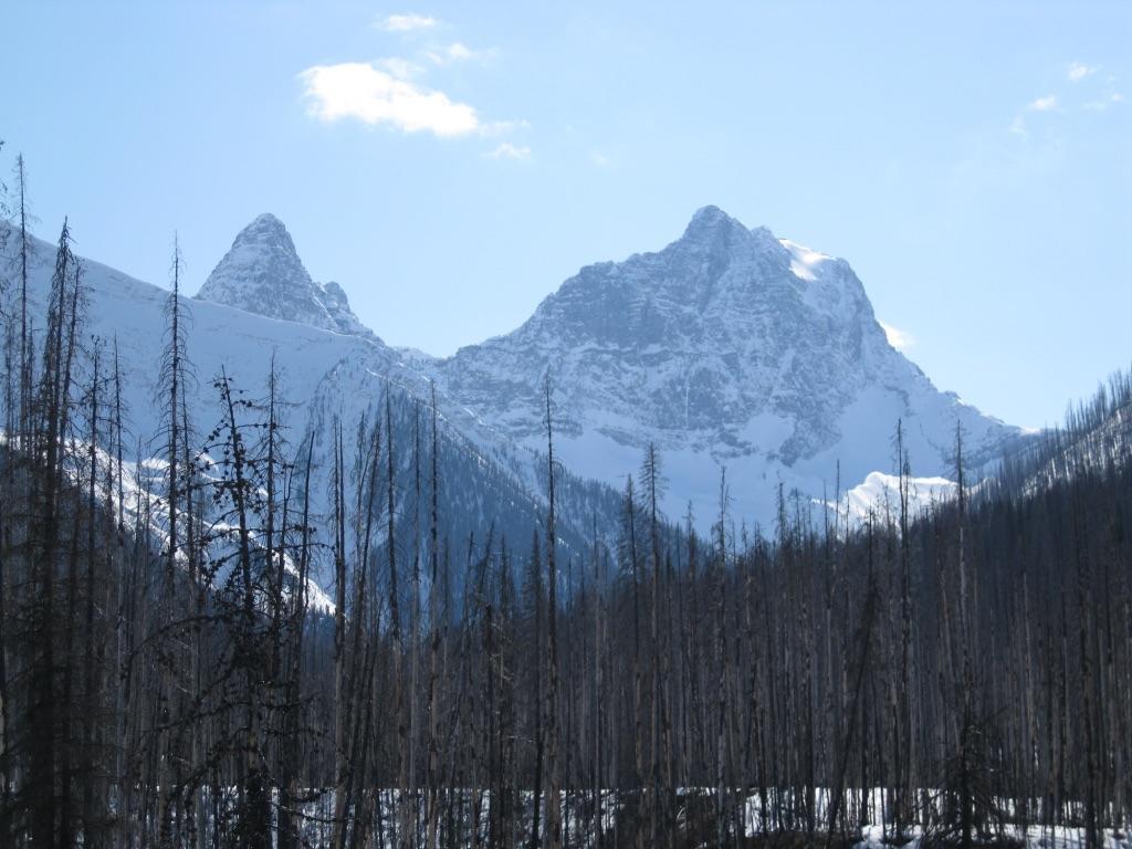 Deere Ridge Cabins Invermere