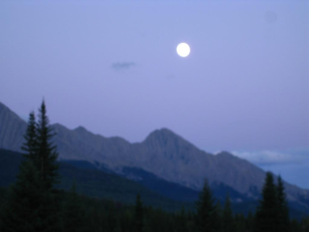 Deere Ridge Cabins 4*